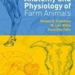 anatomy and physiology of farm animals pdf