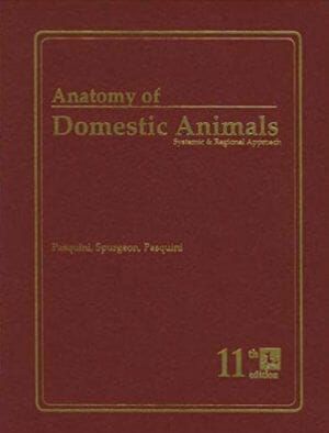 anatomy of Anatomy of Domestic Animals Systemic and Regional Approach 5th Edition PDF Downloadanimals systemic and regional approach pdf