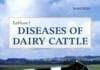 Rebhun's Diseases of Dairy Cattle 2nd Edition PDF