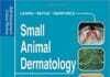 Small Animal Dermatology: Self-Assessment Color Review PDF