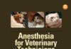 anesthesia for veterinary technicians pdf