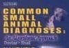 Common Small Animal Diagnosis: An Algorithmic Approach PDF