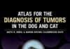 Atlas for the Diagnosis of Tumors in the Dog and Cat PDF Download