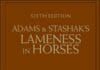 Adams and Stashak's Lameness in Horses 6th Edition