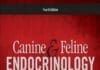 Canine and Feline Endocrinology 4th edition PDF
