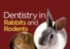 Dentistry in Rabbits and Rodents PDF