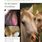 Equine Endoscopy and Arthroscopy for the Equine Practitioner