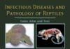 Infectious Diseases and Pathology of Reptiles: Color Atlas and Text PDF
