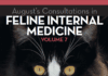 August’s Consultations in Feline Internal Medicine, Volume 7 PDF