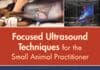 focused ultrasound techniques for the small animal practitioner pdf