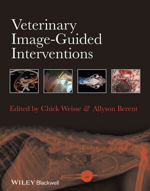 veterinary image-guided interventions pdf