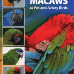 a-guide-to-macaws-as-pet-and-aviary-birds