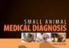 Small Animal Medical Diagnosis 3rd Edition PDF