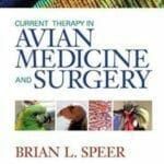 current-therapy-in-avian-medicine-and-surgery
