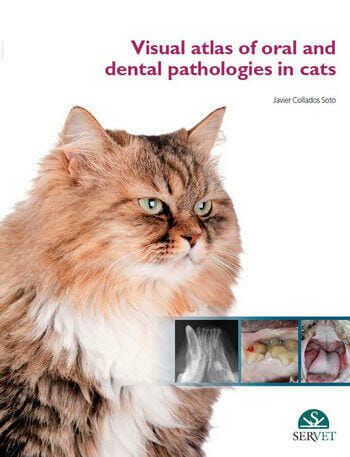 Visual Atlas of Oral and Dental Pathologies in Cats