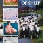 diseases-of-sheep,-4th-edition