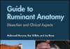 Guide to Ruminant Anatomy: Dissection and Clinical Aspects PDF