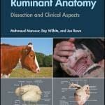 Guide to Ruminant Anatomy: Dissection and Clinical Aspects PDF