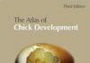 Atlas of chick development PDF