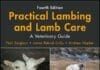 Practical Lambing and Lamb Care: A Veterinary Guide 4th Edition PDF