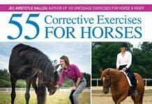 55 corrective exercises for horses pdf