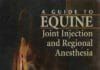 equine joint injection and regional anesthesia PDF