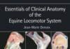 Essentials of Clinical Anatomy of the Equine Locomotor System PDF