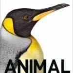 animal the definitive visual guide pdf