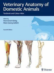 Veterinary Anatomy of Domestic Animals PDF