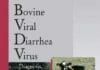 Bovine Viral Diarrhea Virus: Diagnosis, Management,and Control