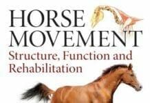Horse Movement: Structure, Function and Rehabilitation