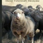 The Practice of Sheep Veterinary Medicine PDF