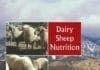Dairy Sheep Nutrition PDF