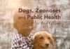 Dogs, Zoonoses and Public Health, 2nd Edition PDF
