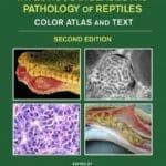 Infectious-Diseases-and-Pathology-of-Reptiles-Color-Atlas-and-Text-2nd-Edition