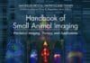 Handbook of Small Animal Imaging: Preclinical Imaging, Therapy, and Application PDF