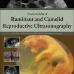 Practical-Atlas-of-Ruminant-and-Camelid-Reproductive-Ultrasonography
