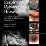 Respiratory-Diseases-of-the-Horse-A-Problem-Oriented-Approach-to-Diagnosis-and-Management