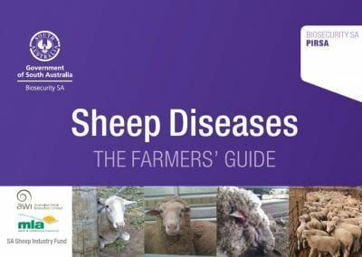 Sheep Diseases: The Farmers’ Guide PDF