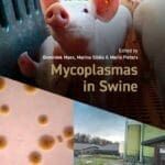 Mycoplasmas-in-Swine