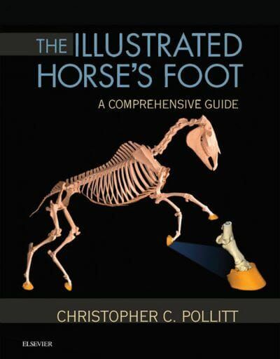 The Illustrated Horse’s Foot: A comprehensive guide