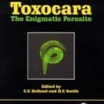 Toxocara-The-Enigmatic-Parasite