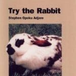 Try-the-Rabbit-A-Practical-Guide