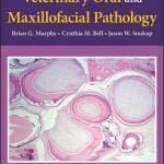 Veterinary-Oral-and-Maxillofacial-Pathology