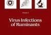 Virus Infections of Ruminants PDF