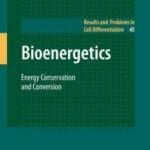 bioenergetics-energy-conservation-and-conversion