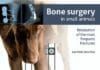 Bone Surgery In Small Animals PDF Download