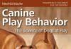 Canine Play Behavior: The Science Of Dogs At Play