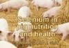 Selenium in Pig Nutrition and Health pdf