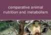 Comparative Animal Nutrition and Metabolism PDF